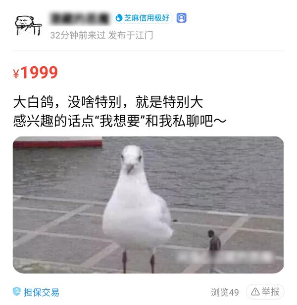 闲鱼上沙雕卖家们的奇怪宝贝