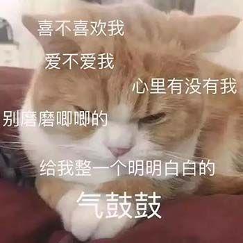 生活不易 猫猫叹气可爱的猫咪表情包