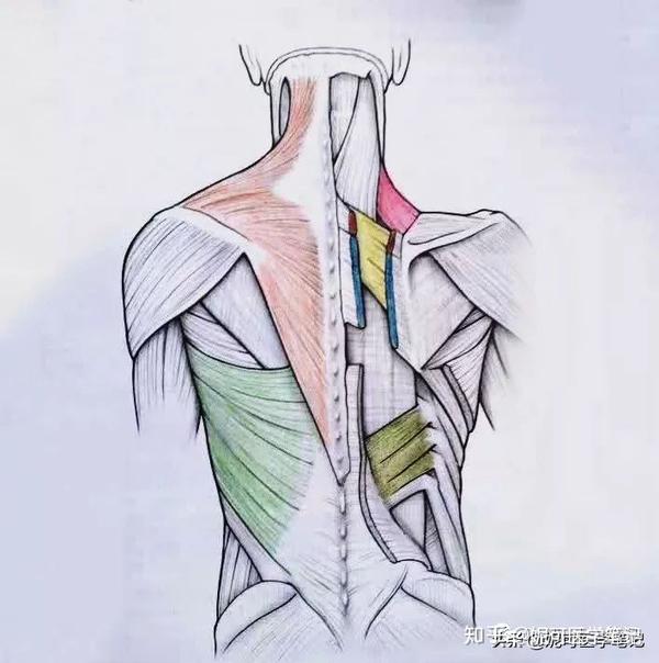 个人简历自我评价写多少_教案评价怎么写_评价历史人物的文章如何写