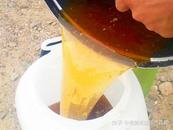 便秘千万别吃沙枣花蜂蜜通畅到想尖叫