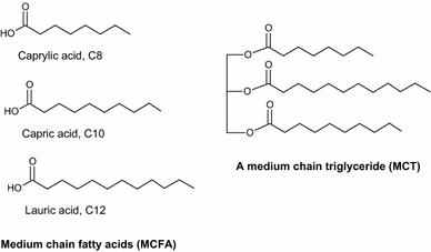 我爱脂肪4 - 饱和脂肪的明星 mct(中链甘油三酯)