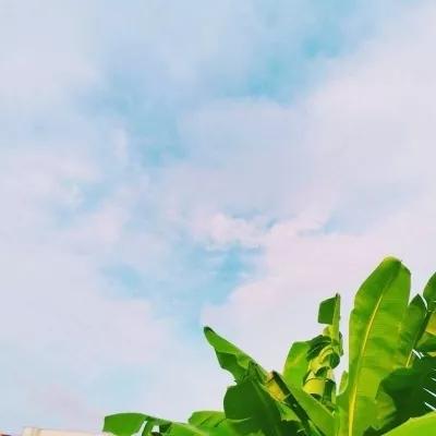 风景静物头像|你若爱,生活哪里都可爱