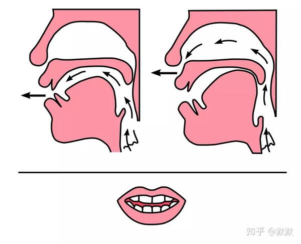 小学汉语拼音前鼻音和后鼻音的发音技巧,值得收藏!