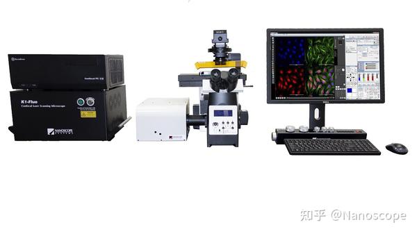 k1-fluo abm 激光荧光共聚焦显微镜