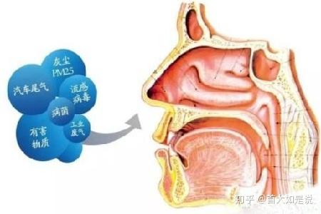 首大崔付军:鼻粘膜肿胀应如何防治