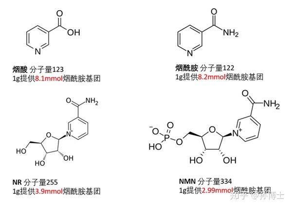 nad 前体怎么选?聊聊剂量和转化率的问题