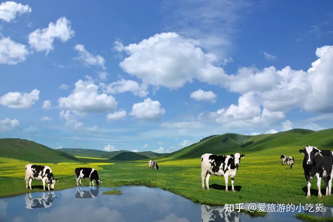 内蒙古旅游攻略——草原欢歌敖包相会,一步一画饱览内蒙风情