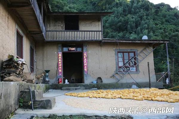 紫阳茶山上的石板房民居:住过六户人家 远看像山寨