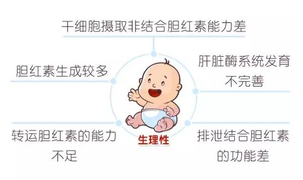 芝士妈妈:几乎每个新生儿都会碰到的黄疸 护理方法竟然相差那么大!