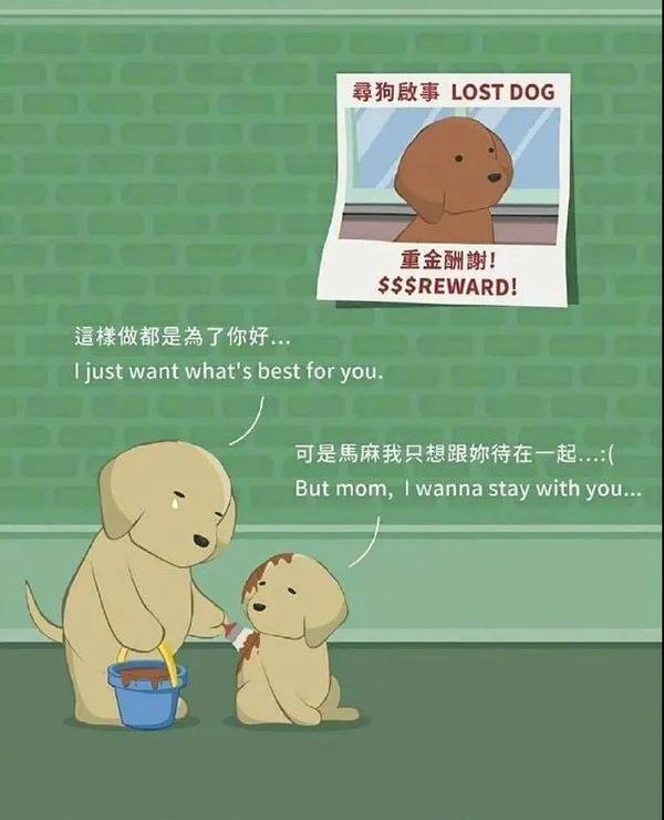 又下雨了!(治愈系漫画) - 知乎