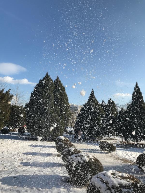听说这几天南方大雪纷飞,北方沈阳还没下过雪?