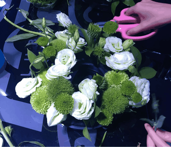 素手拾花,品读花意,感悟生活之美.