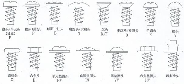 1头部形状 头部形状各式各样.