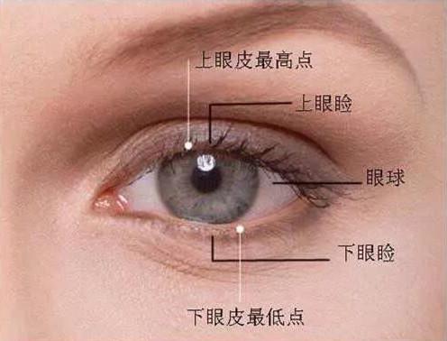 眼皮外面长了个小肿物需要去掉吗