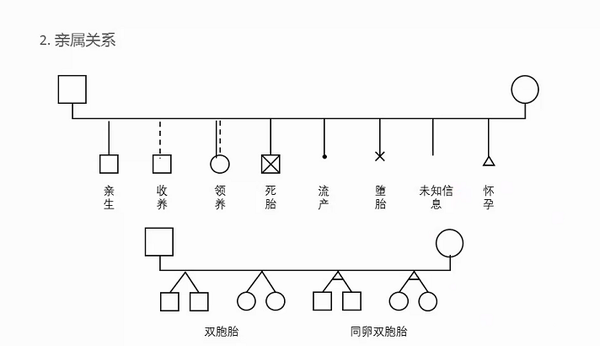 家庭心理辅导中怎么样绘制家谱图?