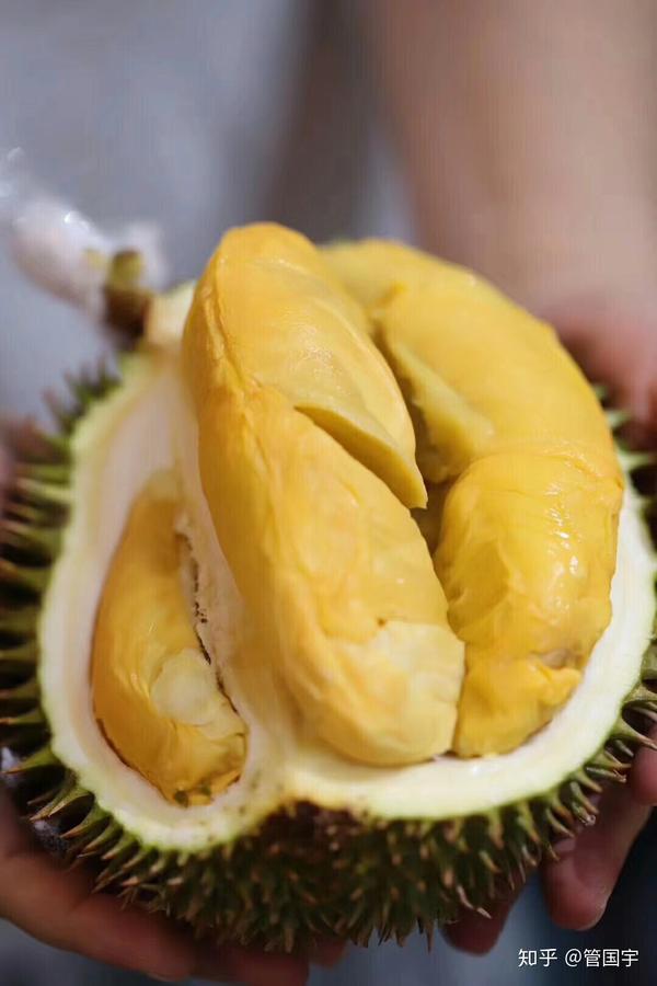 你真正的了解榴莲吗