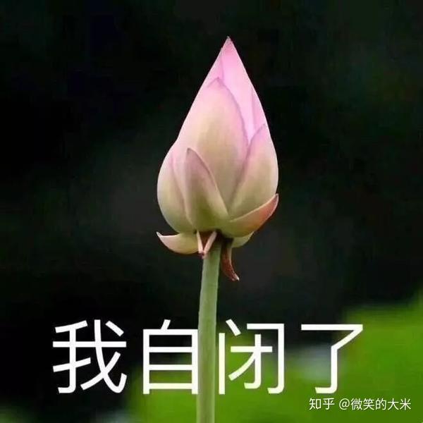 "我自闭了"表情包为什么火了?