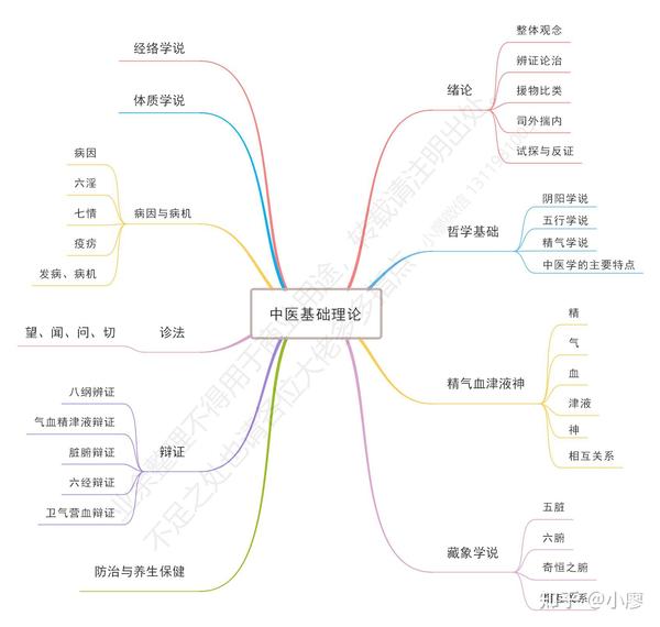 科普 中医基础理论思维导图