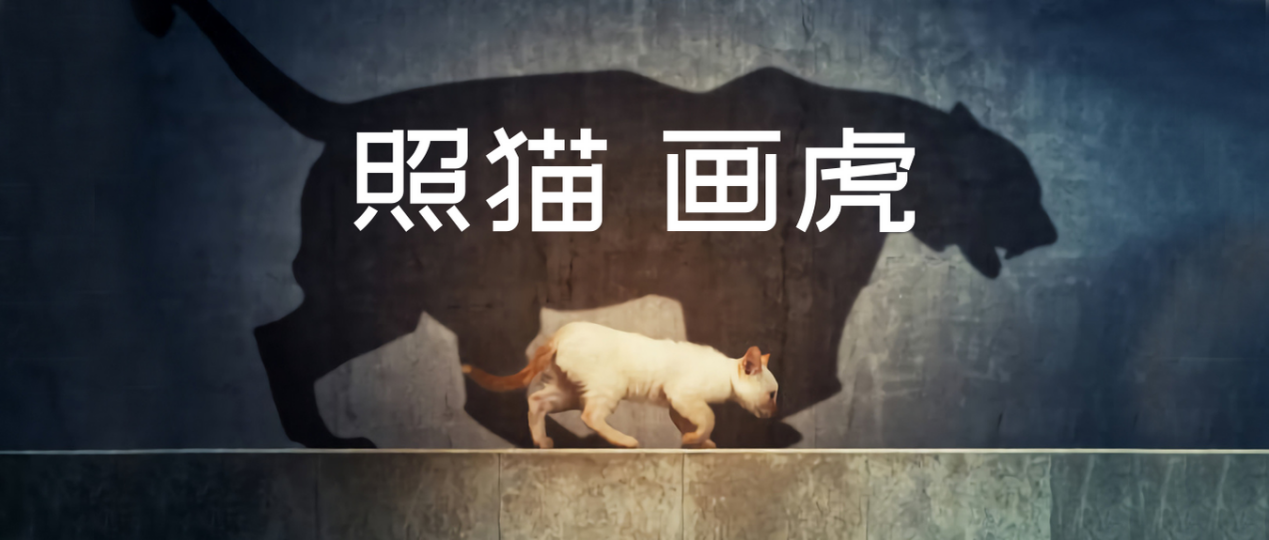 照猫画虎