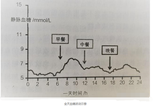 人体一天中的血糖是怎样变化的?