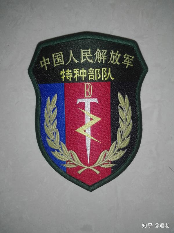 一群穿着特种部队迷彩.带着特种部队臂章的"特种部队"居然在带军训?