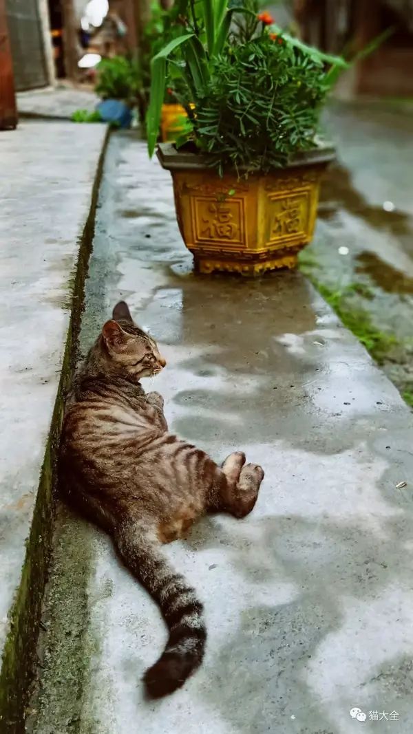 我赶紧躲进屋檐下,慌忙拿纸巾擦拭身上的雨水.