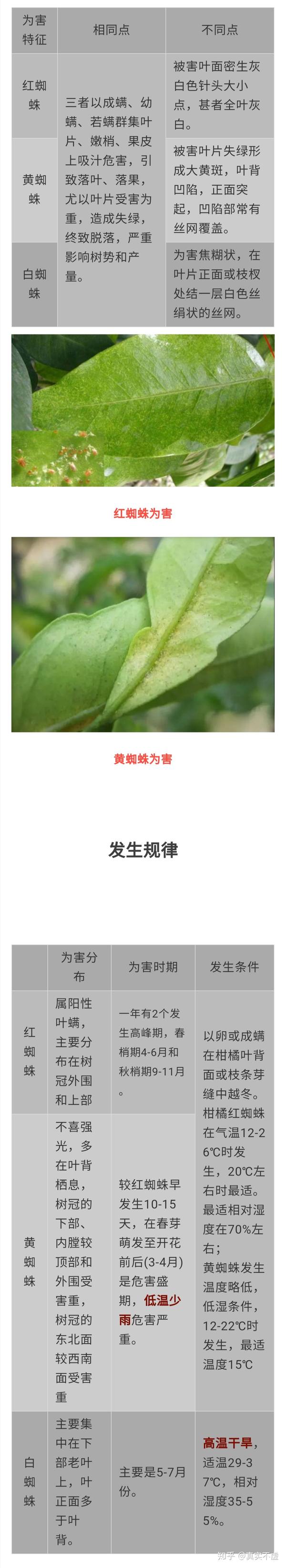 白蜘蛛抗药性>黄蜘蛛抗药性>红蜘蛛抗药性 1,果农由于用药不当和防治
