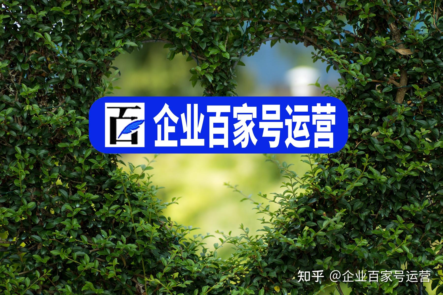 企业百家号蓝v认证答疑|百家号一个月能挣多少钱?
