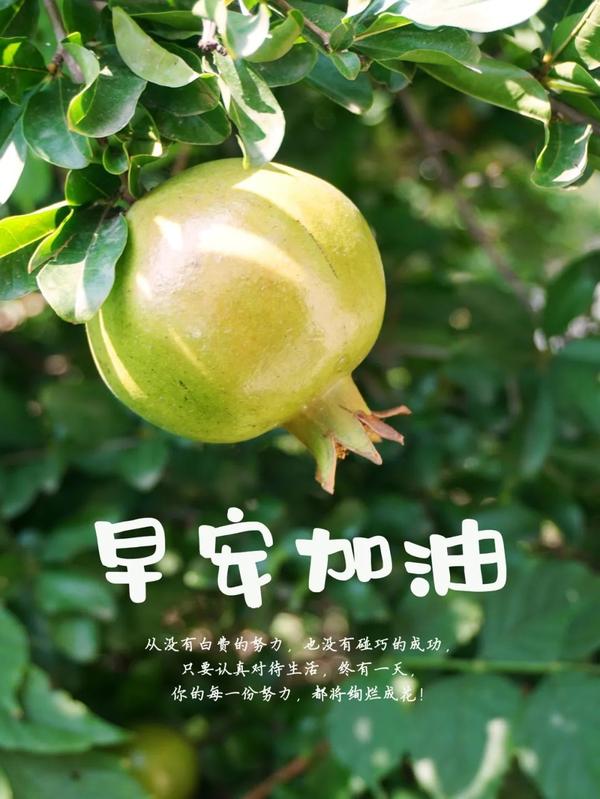 2021早安最火图片高清,2021早上好微信图片 2021最火早安心语,正能量走心语录句子很好看的早上好