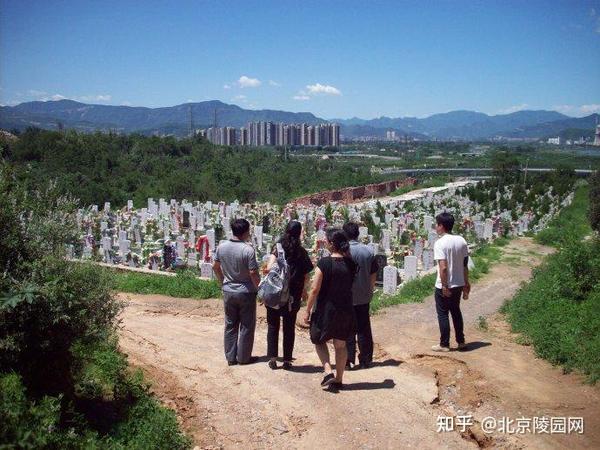 东河沿公墓实拍