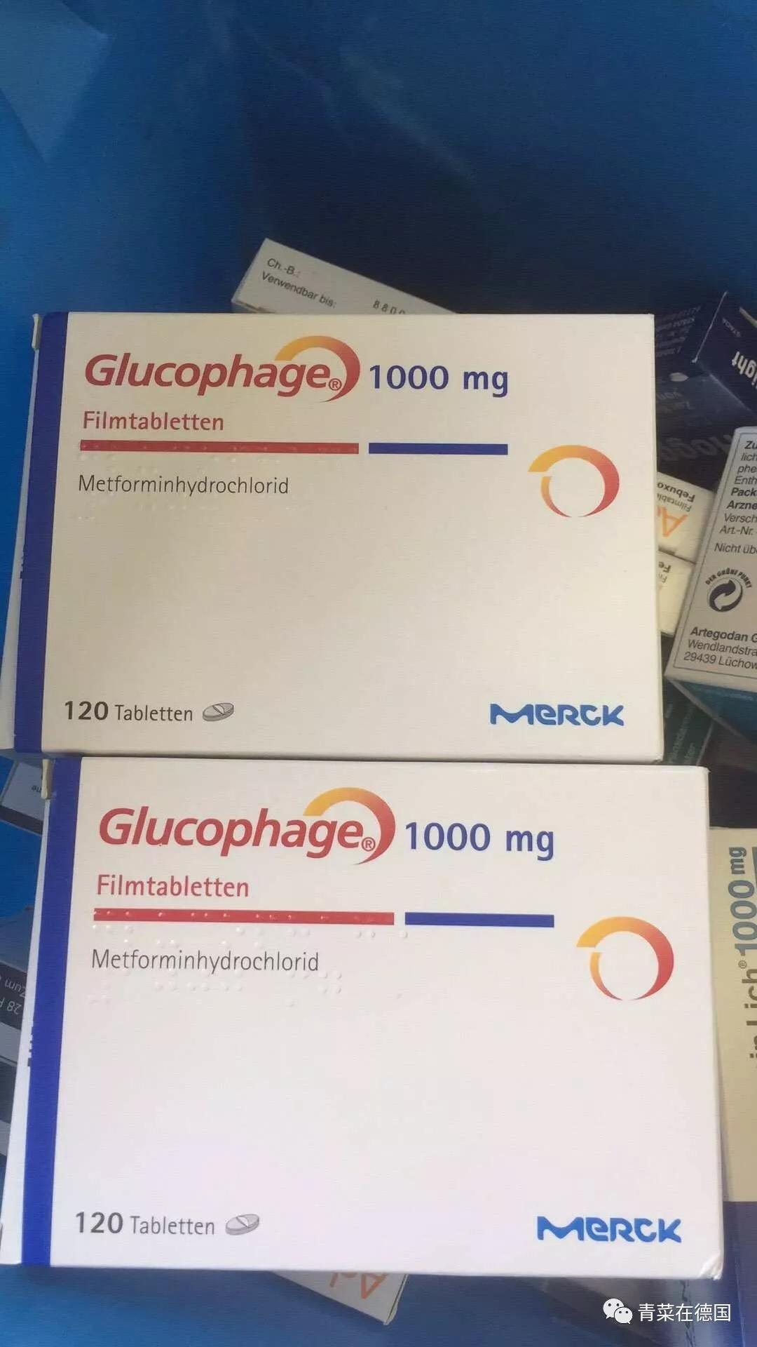 metformin lich 二甲双胍 德国 双胍类降糖药