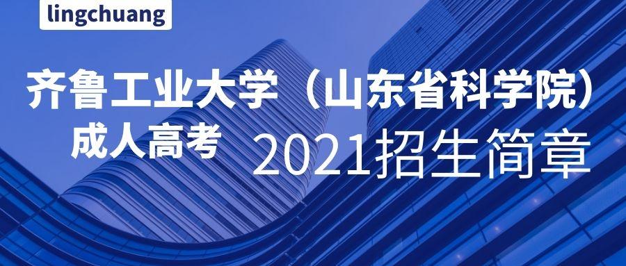 齐鲁工业大学山东省科学院成人高等教育2021年招生简章