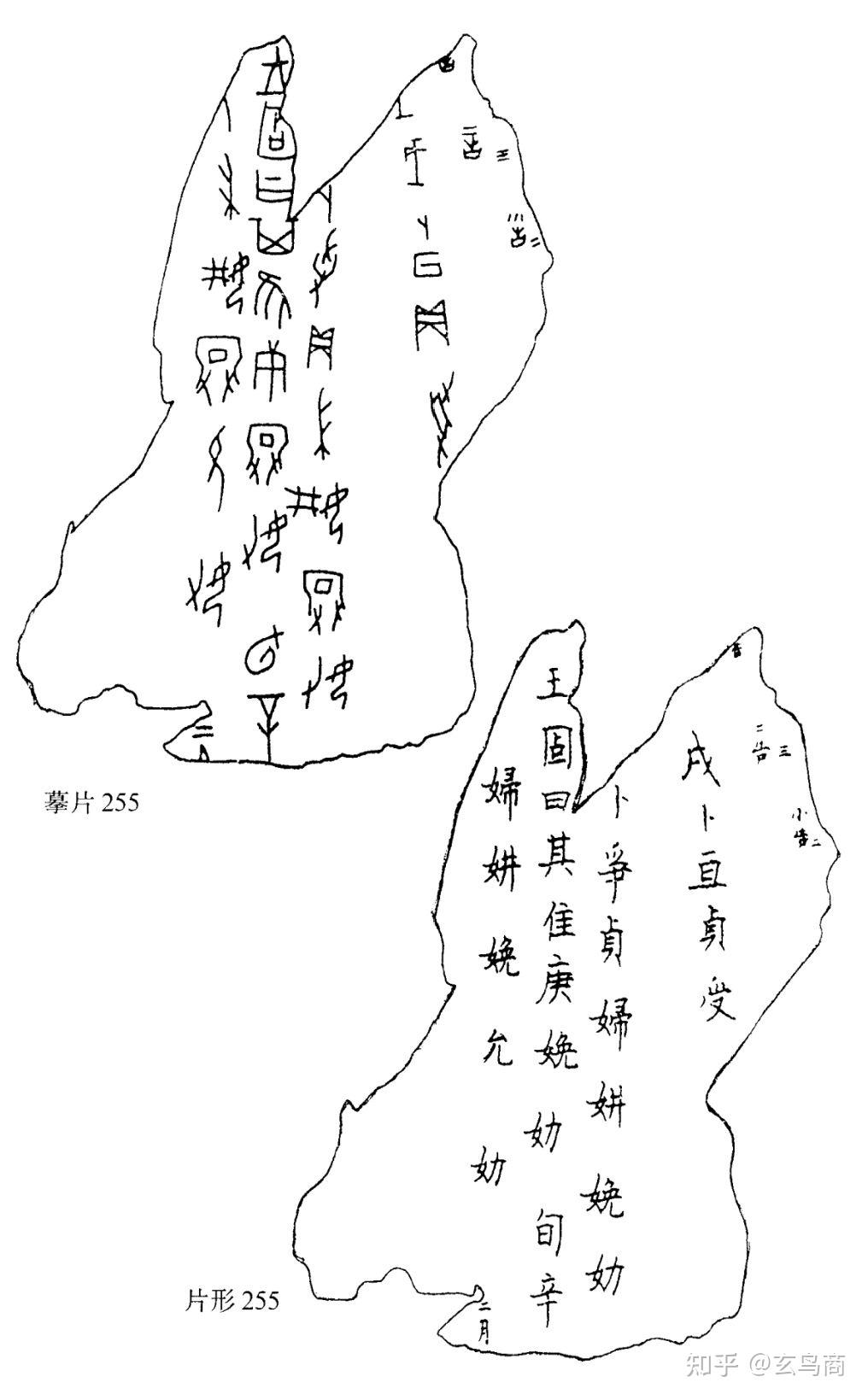 5《甲骨文精粹释译》拓片255