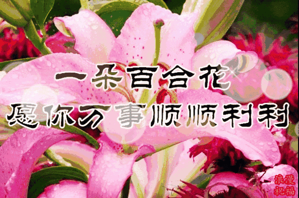 女人都是一朵花,祝你节曰快乐