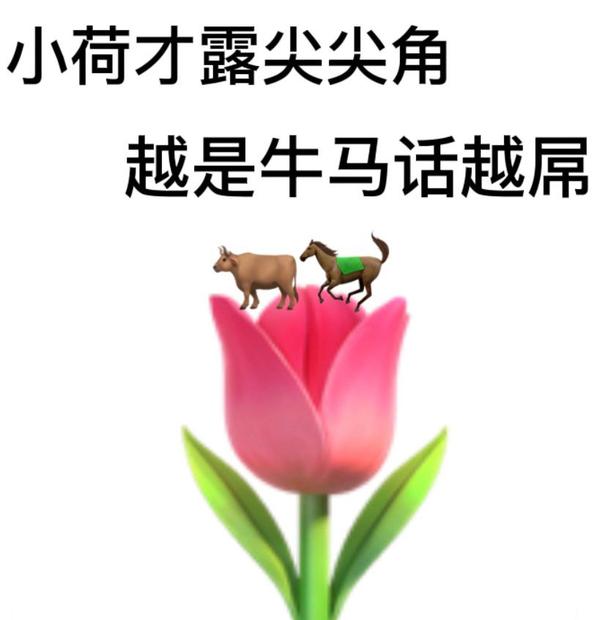 牛马带你混社会