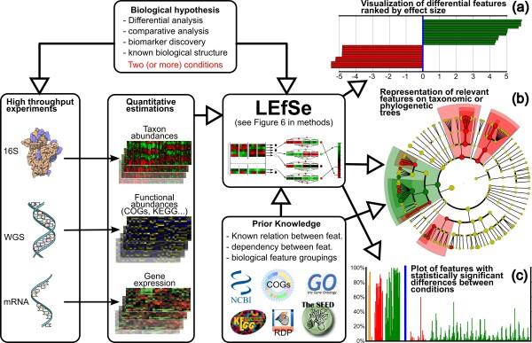 宏基因组数据分析:差异分析(lefse安装使用及lda score计算 知乎