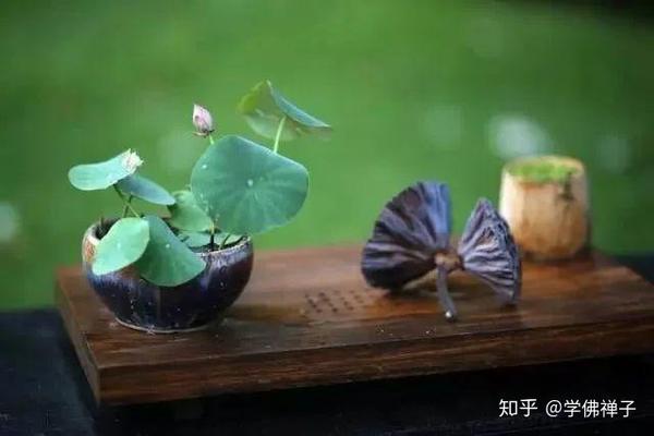 身边小人多?把这个咒语法布施出去,让小人远离你,贵人