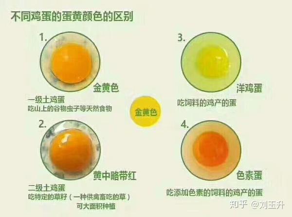 在最后奉献一张图通过蛋黄来辨别区分鸡蛋的种类(后期会专门开一篇