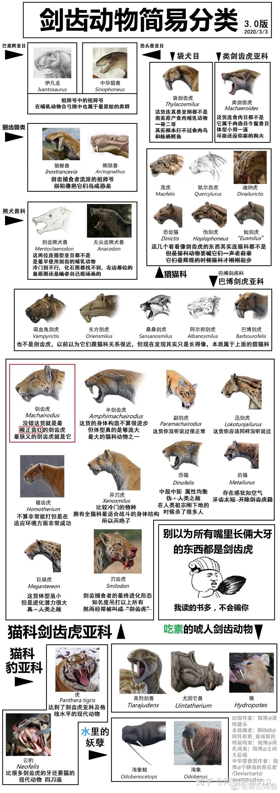最显著的一个新变动就是"巴博剑齿虎科"被降级,正式归入"猎猫科"中