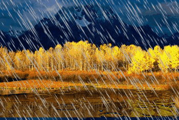 内部的油脂流失,出现干燥开裂,   加上汗液的腐蚀,容易孳生各种细菌