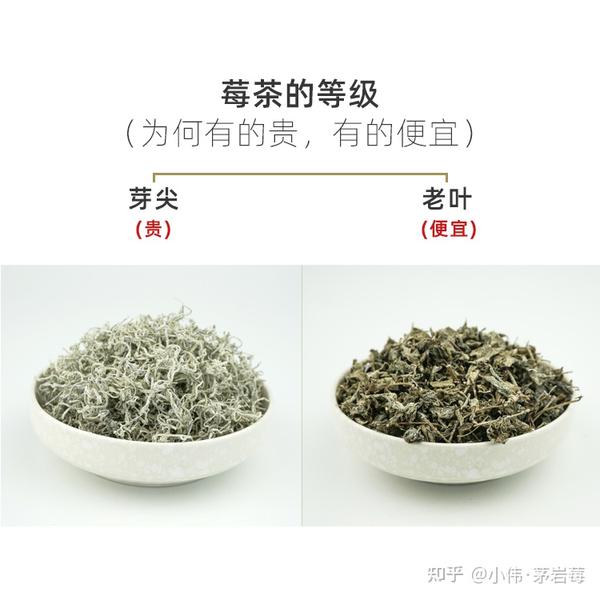 茅岩莓茶的质量怎么样挑选的是纯芽尖吗如何鉴别