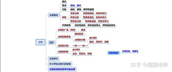 教编普通心理学第二章主意思维导图