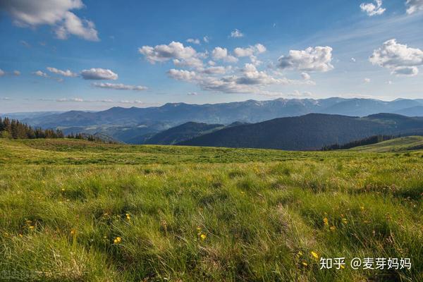 塔拉童年生活在巴克峰,一个远离城区的山谷,父亲是一