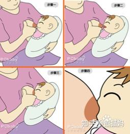 母乳喂养的正确姿势 3  如果宝宝吃奶位置正确,其鼻子和面颊应该