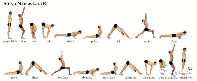 瑜伽八支与八支瑜伽(下)eight limbs of yoga and ashtanga (p2)