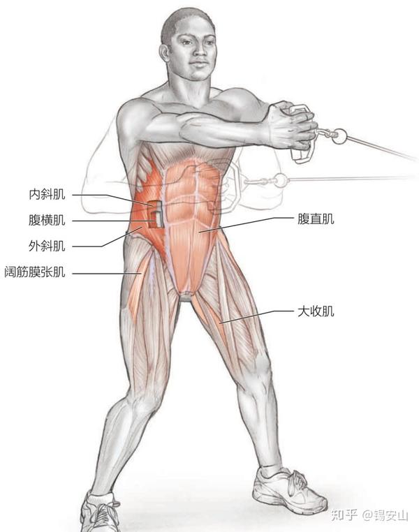 在举起手臂和腿时,要要保持身体地一