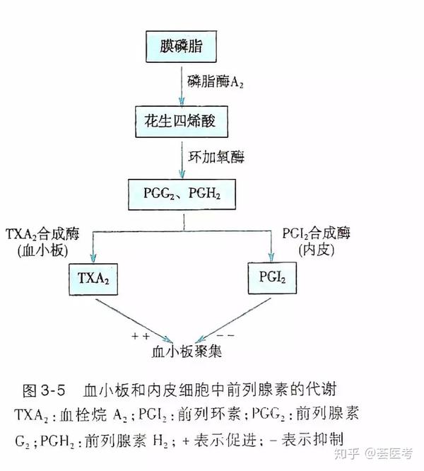 『解题关键点』 阿司匹林在血液系统的作用机理.