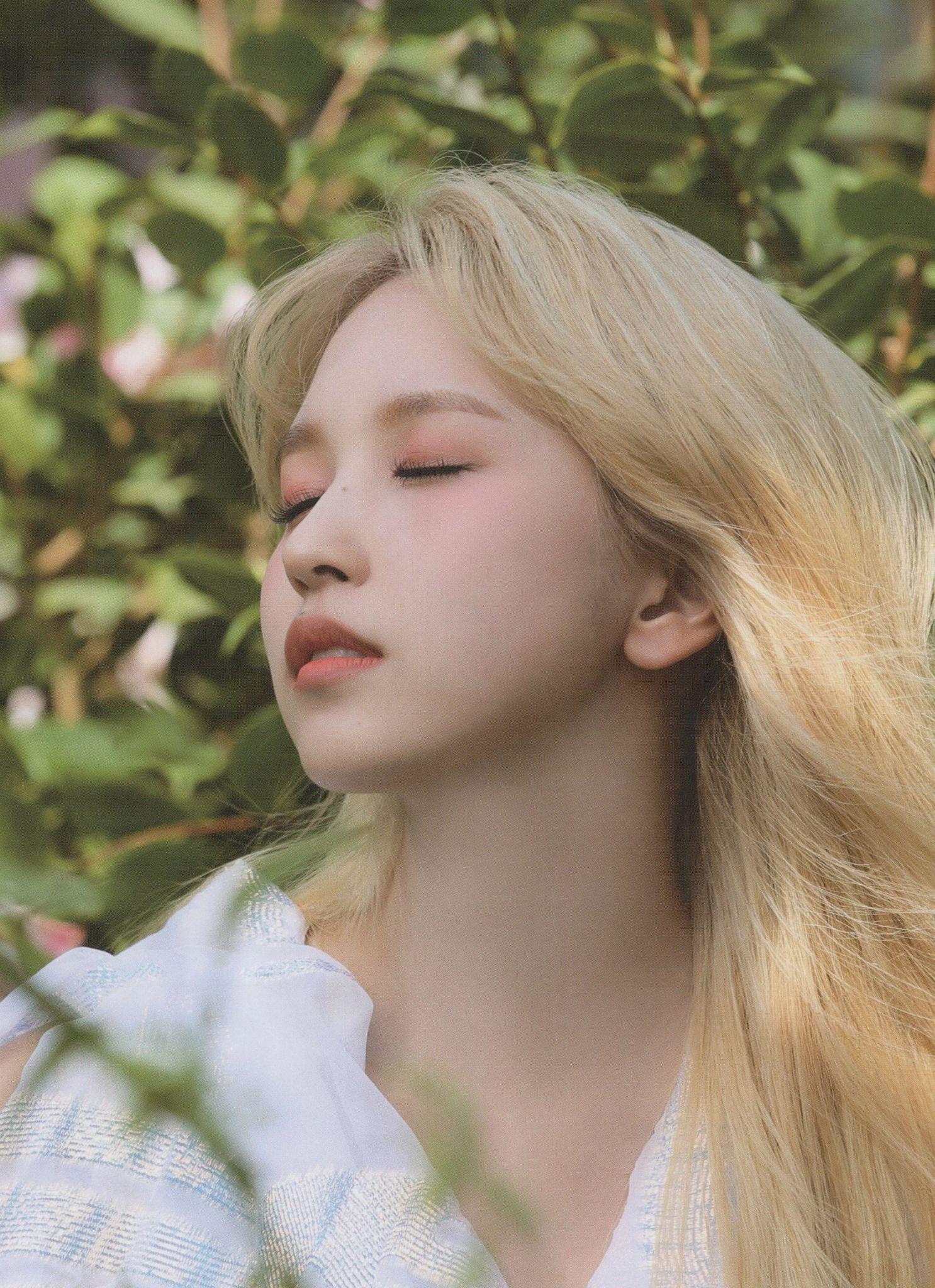 如何分辨twice的sanamomomina