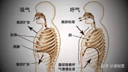 声乐老师不肯说的发声秘密,尚颂音乐来告诉你