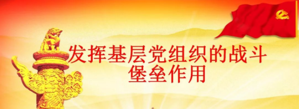 充分发挥基层党组织战斗堡垒作用